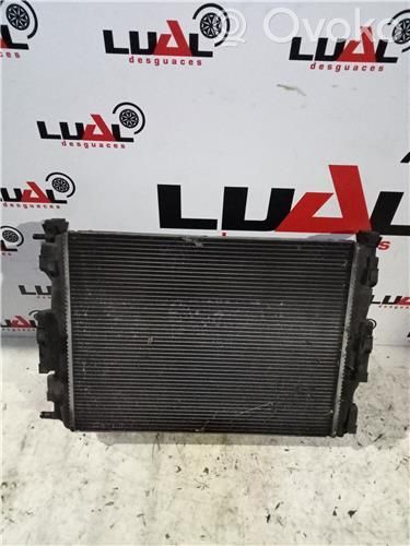 Dzinēja eļļas radiators   876963Q
