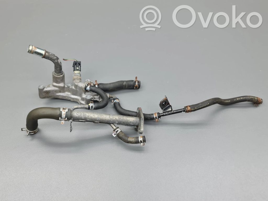 Honda Accord Caurulīte (-es) / šļūtene (-es) 