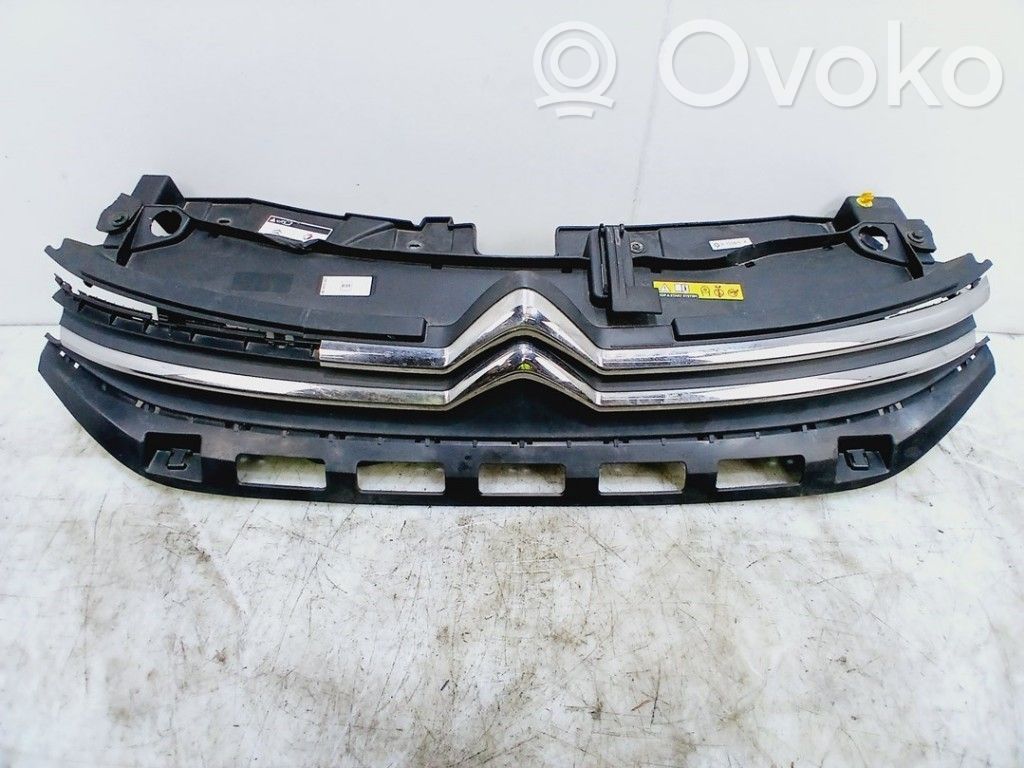 Front grill   9814095980,9814095980
