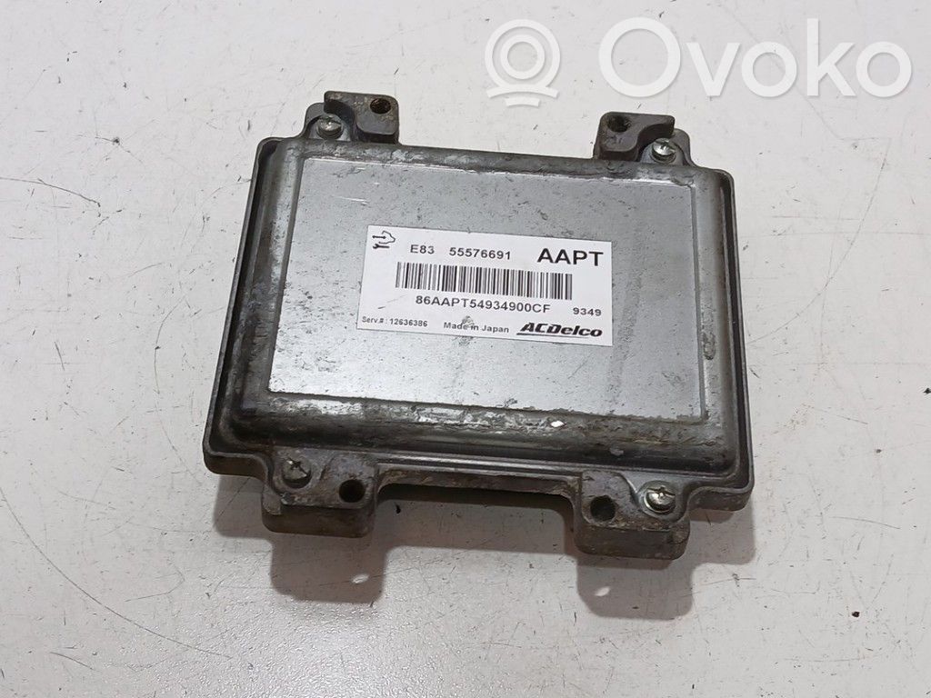 Engine control unit/module   55576691,12636386,12636386,55576691