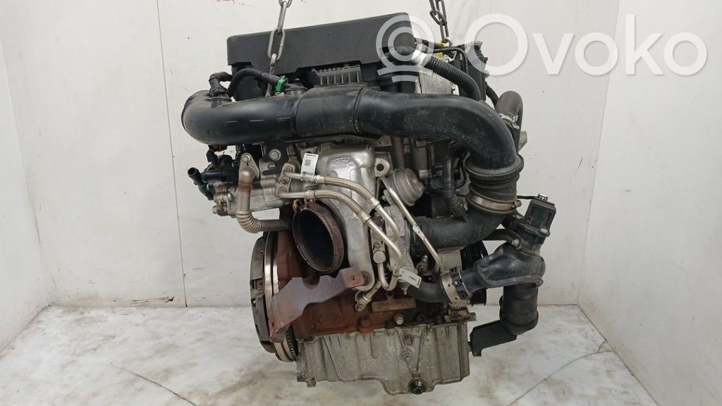 Silnik   2463334,LX6G6006UA,2463334,LX6G6006UA