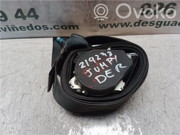 Saugos diržas galinis   RHZDW10ATED,B501322