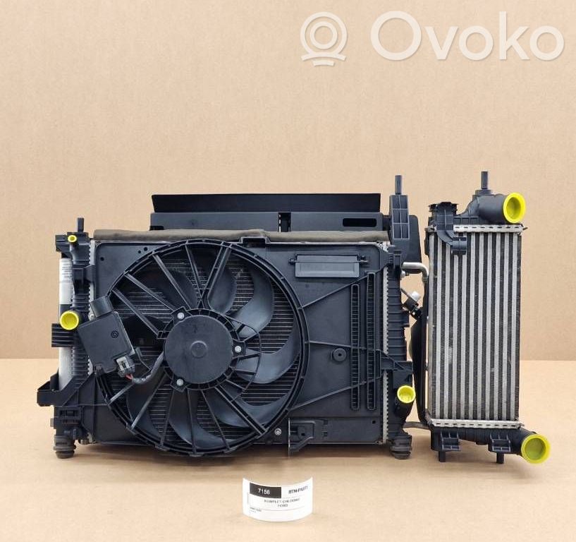 Ford Grand C-MAX Oro kondicionieriaus radiatorius aušinimo 