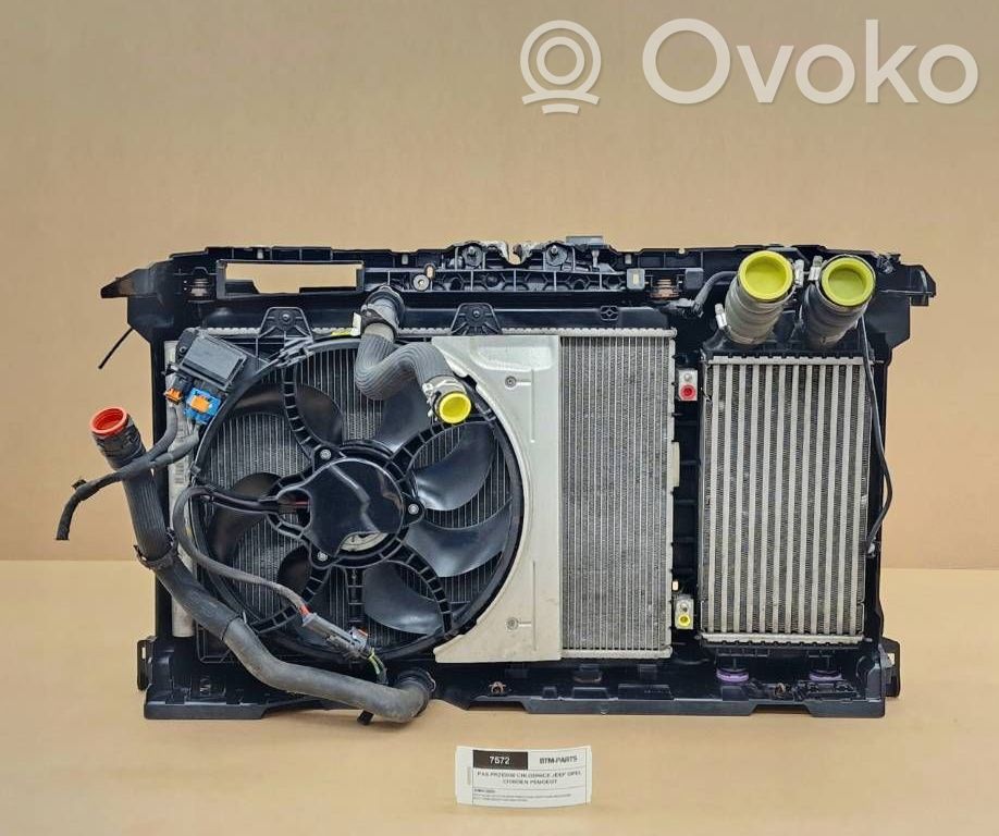 Citroen DS3 Radiatorių panelė 