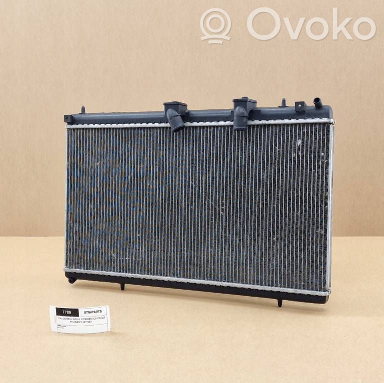 Citroen C5 Coolant radiator 