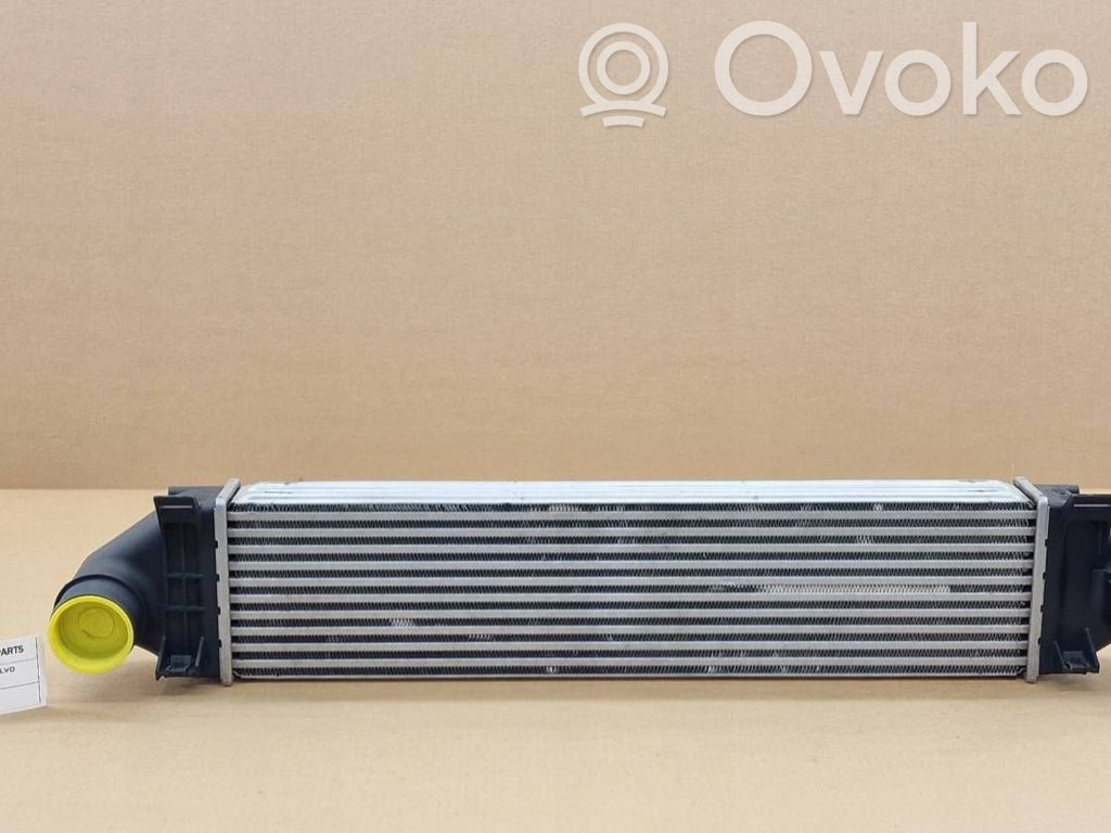 Interkūlerio radiatorius   9009,CI190000P,6G919L440AE,097012N,097018N,1376346,1382884,1420158,1423959,1429405,1433631,1462995,1541599,1594852,1674066,1748796,18004366,18004438,18004481,18004494,30304,30723916,309079,31280014,6G919L440AC,6G919L440AD,6G919L440CB,6G919L440CC,6G919L440CD,6G919L440GA,6G919L440GB,6G919L440GC,717355,818240,818245,818246,818717,8ML376700121,8ML376765034,8ML376900581,8ML376988194,9038304481,96561,B00CVZ4V2U,CI324000S,CI394000S,CI499000S,CI532000P,FD4438,FD4481,FDA4481,LR020401,LR031466