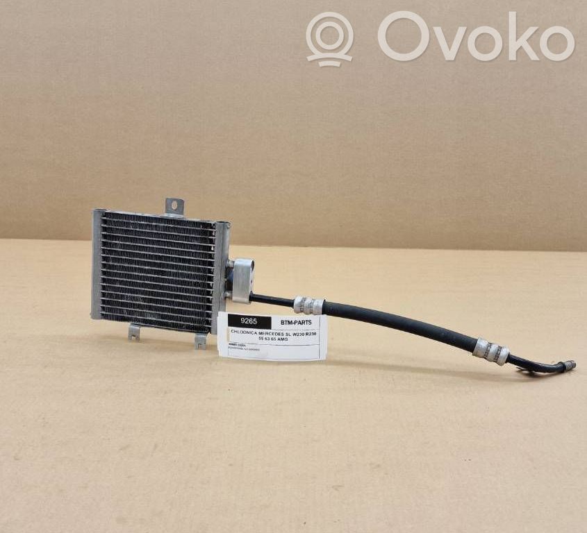 Mercedes-Benz S W220 Dzinēja eļļas radiators 