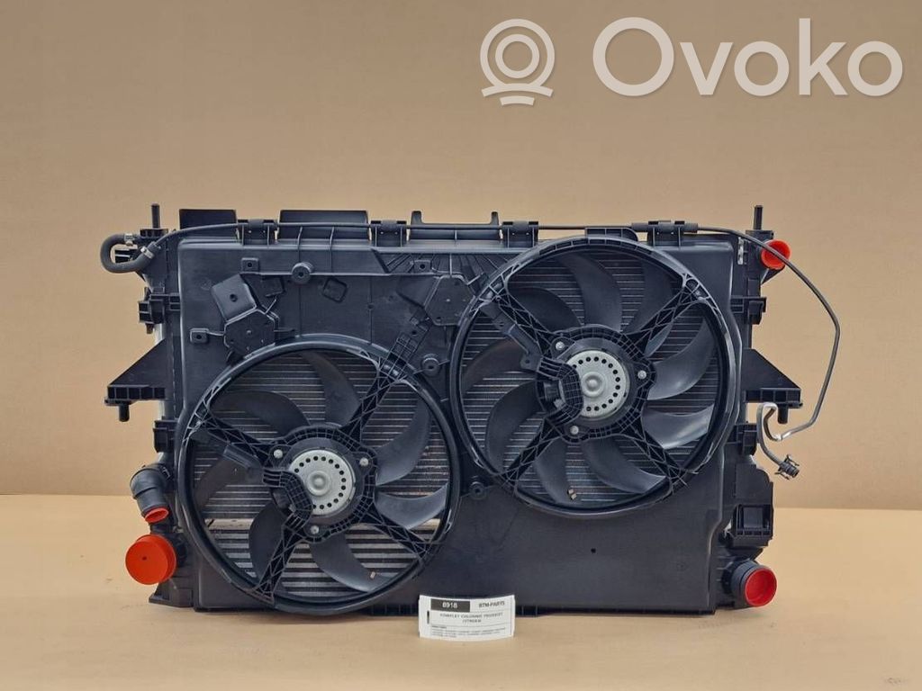 Radiator set   8918,1382424080,1382427080,1342584080,1343785080,1358013080,1361235080,1362916080,1371427080,1382419080,1382421080,1382425080,1382428080,1382429080,1399111080,1610115880,1610161680,1613994080,1613994180,1616950280,1617023380,1617117280,1617244180,1617300680,1617322580,1618094280,53144431,6455EP,6455HC,878418U,878419R,878420L,DF630001,EZ520001