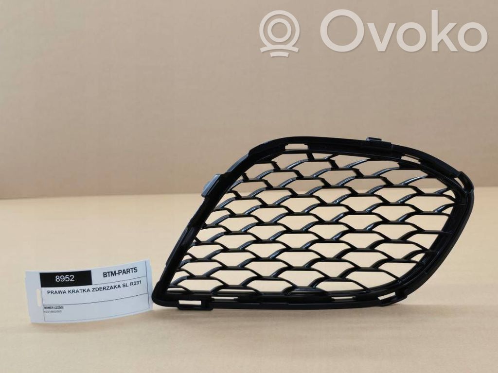 Mercedes-Benz SL R231 Front bumper lower grill 