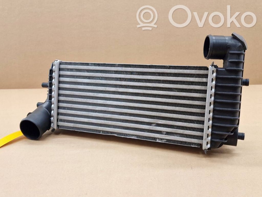 Intercooler radiator   2159,1796565,1803543,1823088,2027395,BV619L440CH,BV619L440CJ,BV619L440CK