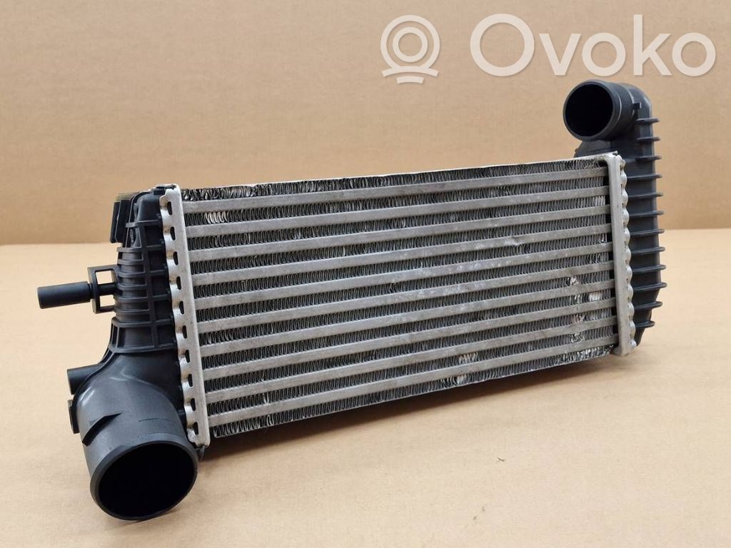 Interkūlerio radiatorius   2155,1796565,1803543,1823088,2027395,BV619L440CH,BV619L440CJ,BV619L440CK