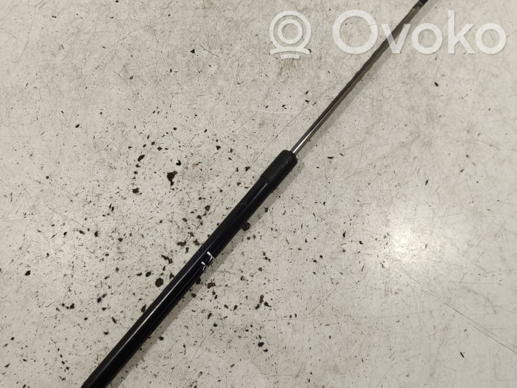 Ford Focus Tailgate/trunk strut/damper 