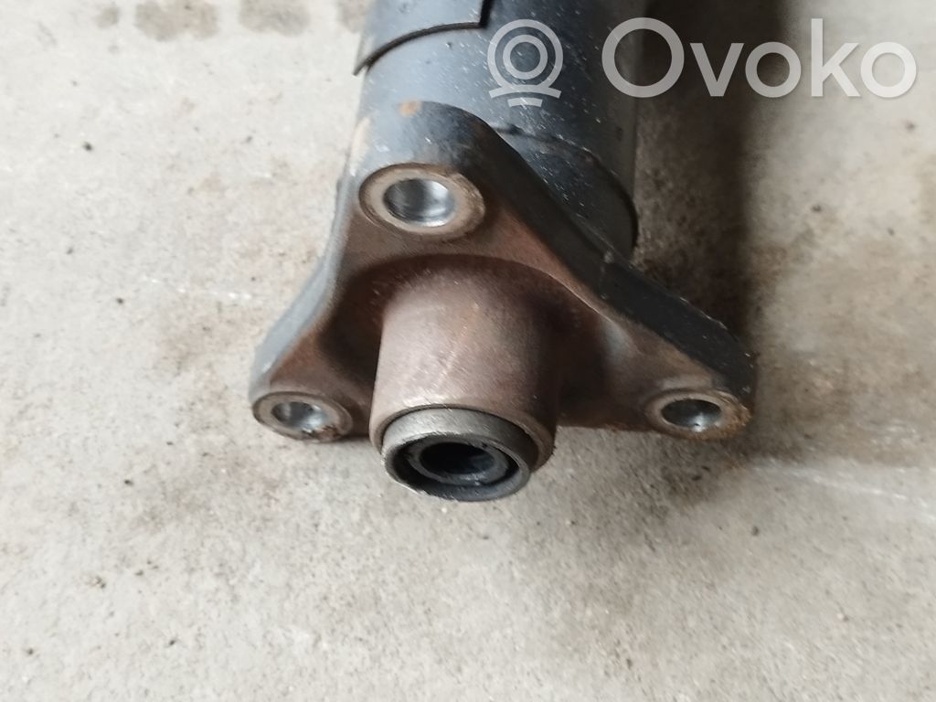 Drive shaft (set)