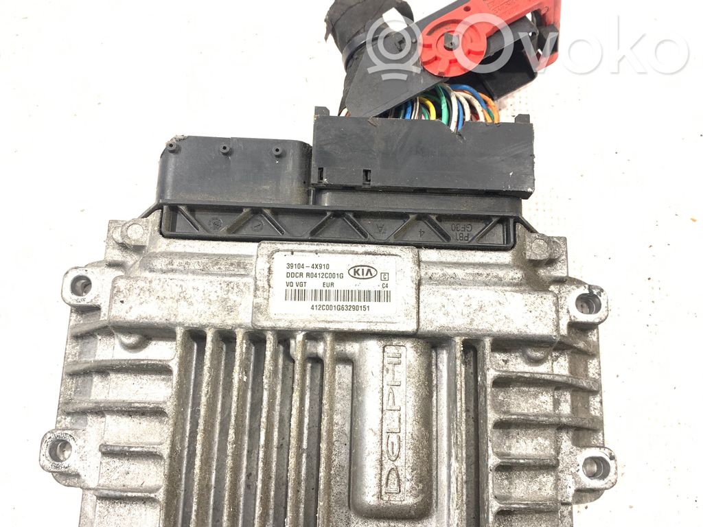 KIA Carnival Engine control unit/module 