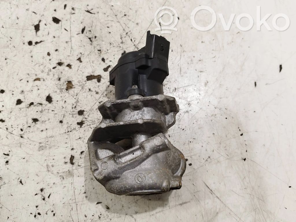 EGR valve   216049521,102100095