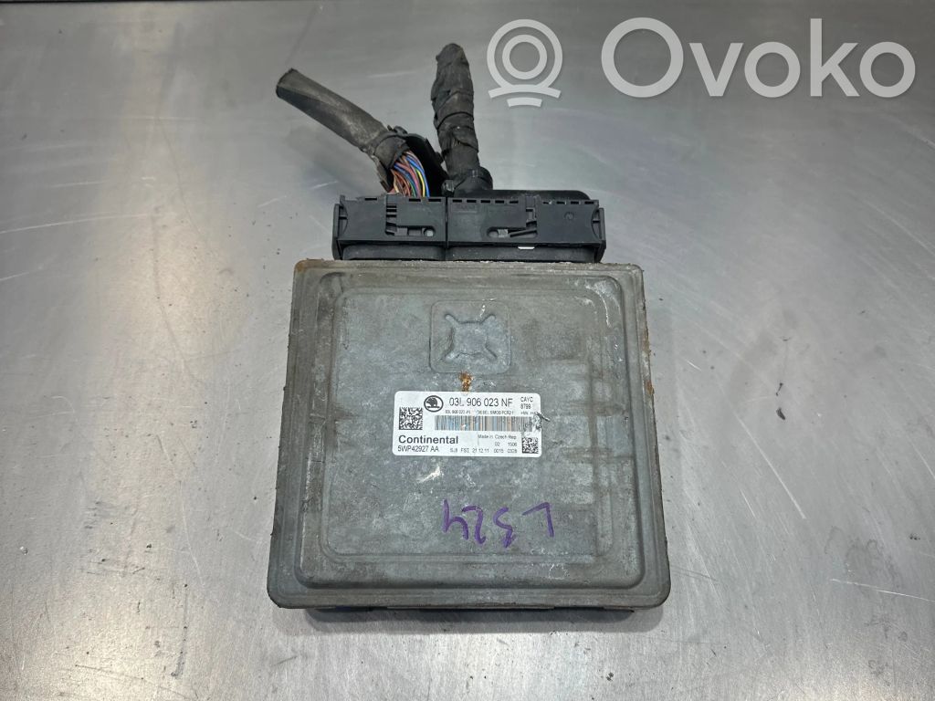 Skoda Octavia Mk2 (1Z) Engine control unit/module 