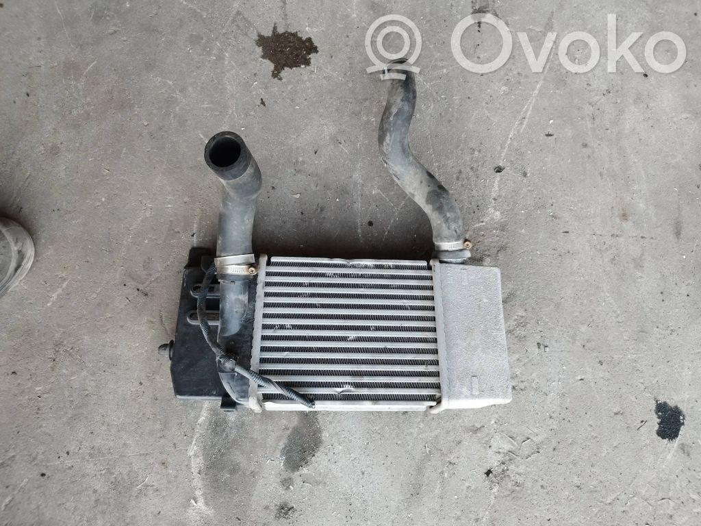 Radiador intercooler