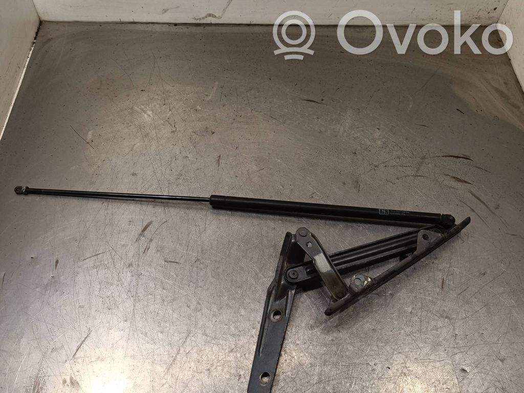 Cadillac STS Seville Siłownika klapy tylnej bagażnika 