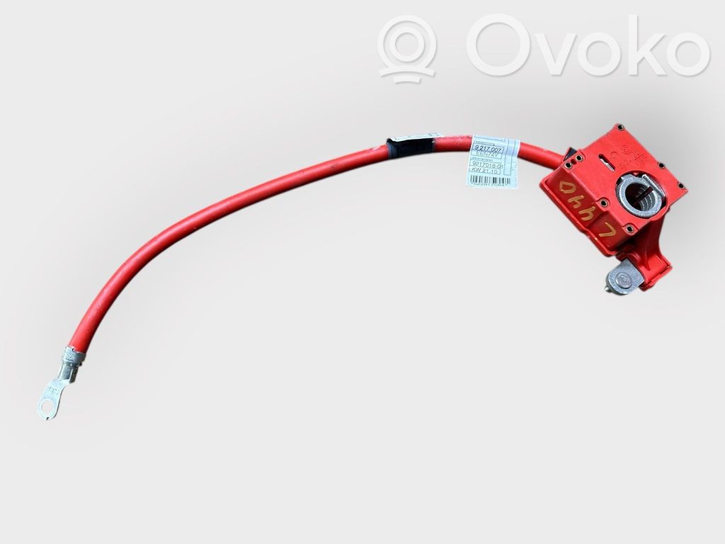 Pliusinis laidas (akumuliatoriaus)   9217007,9217018,522817084