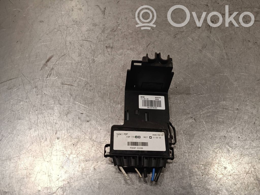 Citroen Berlingo Módulo de fusible 