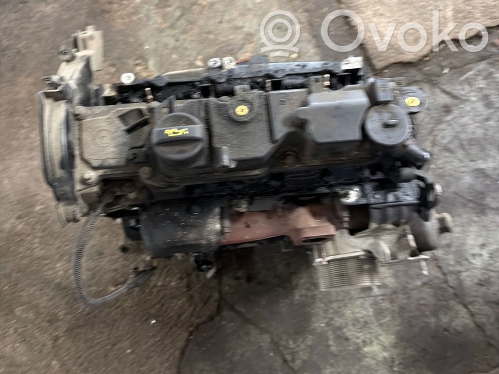 Engine   DV6C