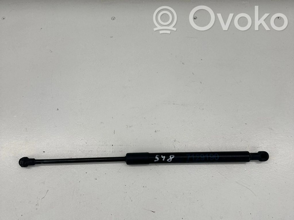 BMW 3 E90 E91 Dzinēja pārsega amortizators 