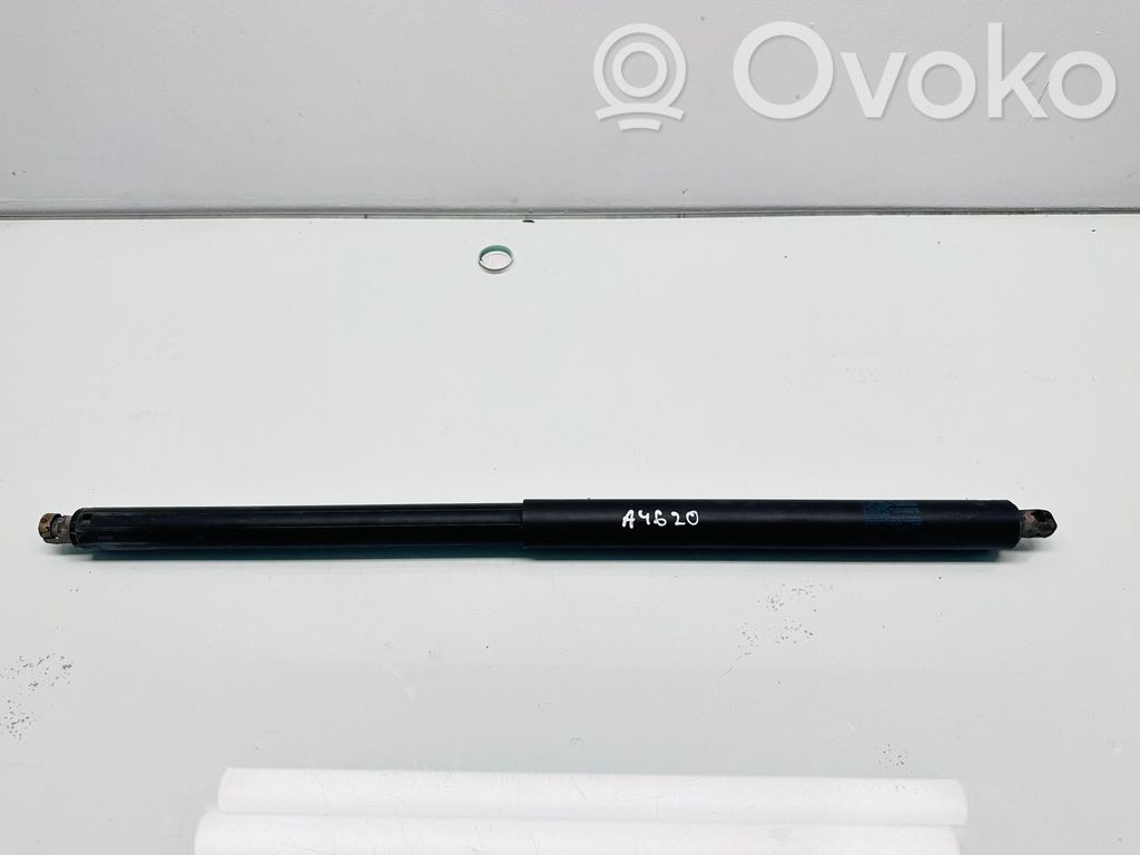 Tesla Model S Tailgate/trunk strut/damper 