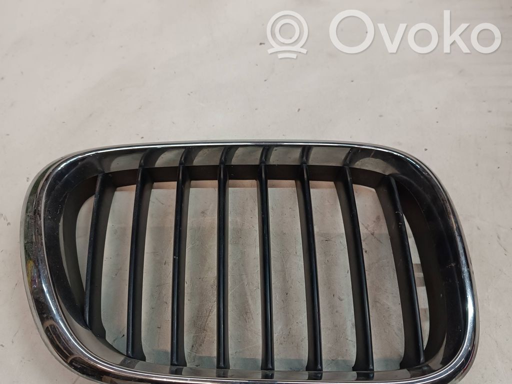 BMW X5 E53 Grotelės priekinės 