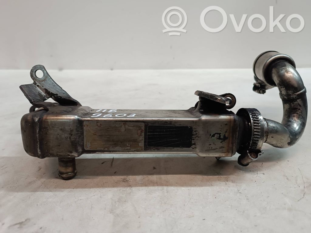 EGR dzesētājs   9603