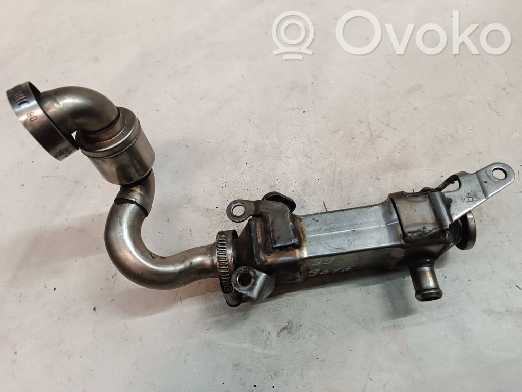 EGR valve cooler   96765