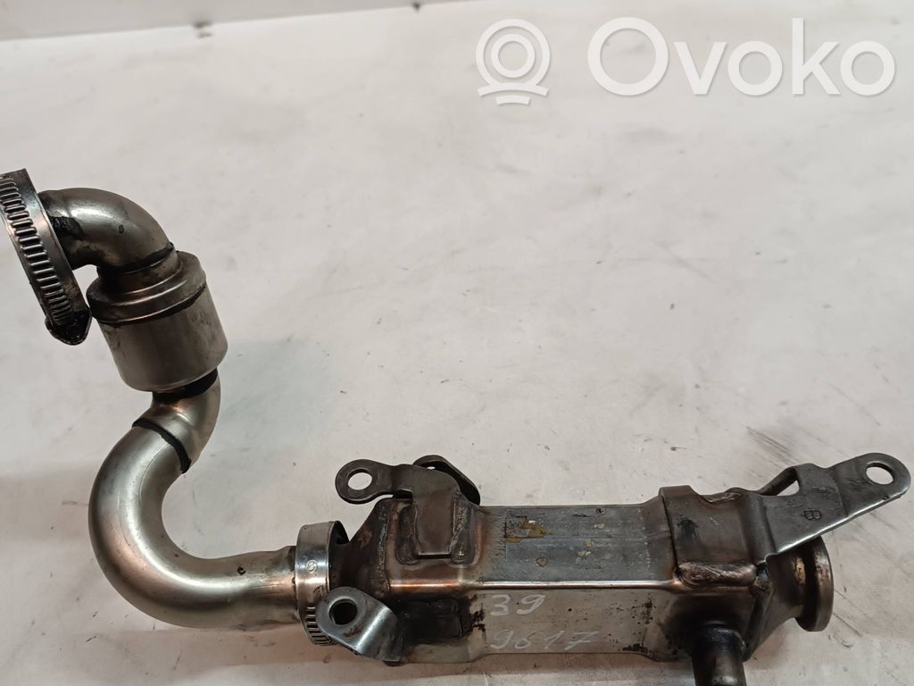 BMW 5 E39 EGR dzesētājs 