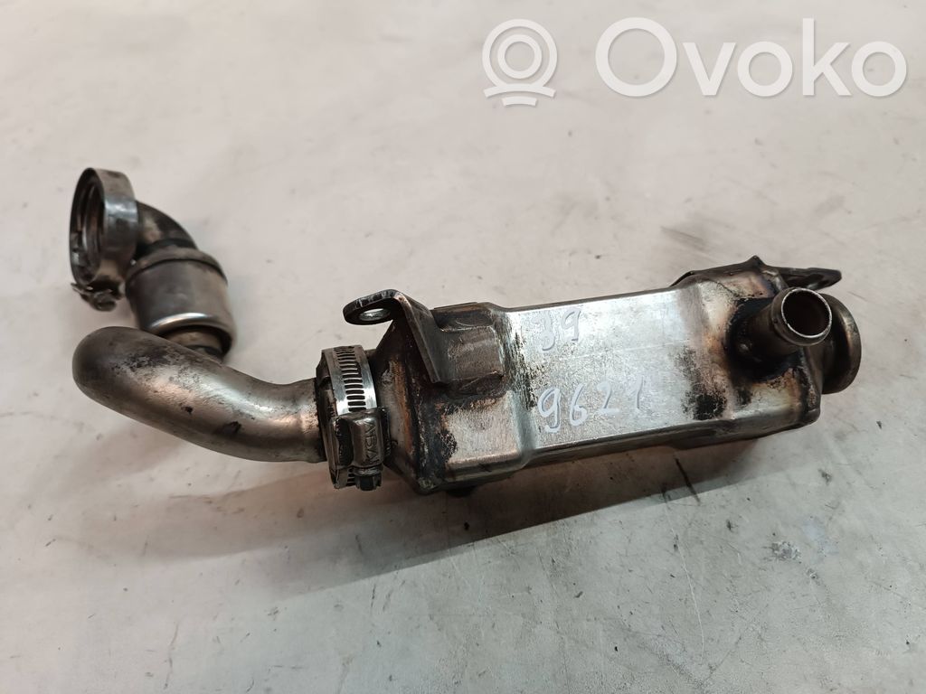 BMW 5 E39 EGR dzesētājs 