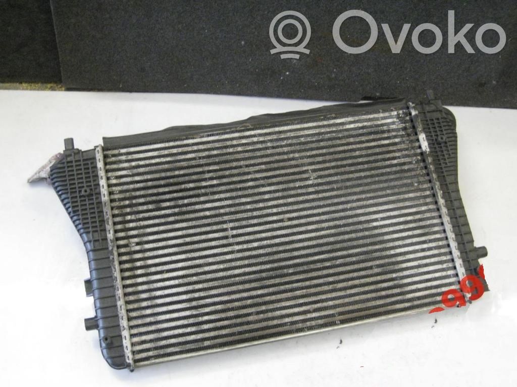 Volkswagen Golf V Radiatore intercooler 