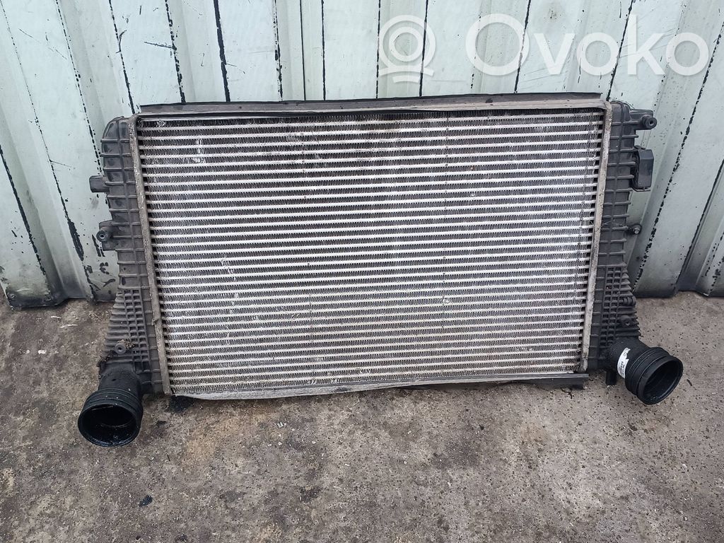 Volkswagen Golf V Interkūlerio radiatorius 