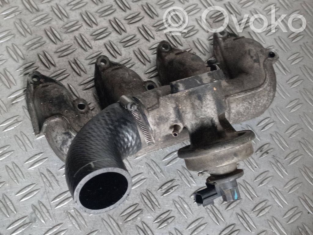 Ford Focus Intake manifold 