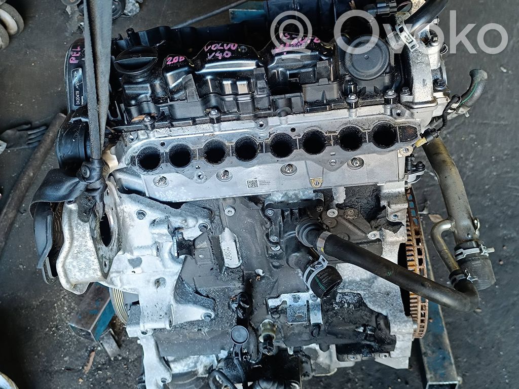 Engine   D4204T9,1290439