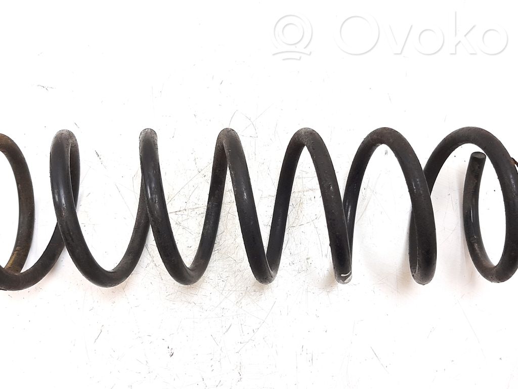 Muelle espiral trasero