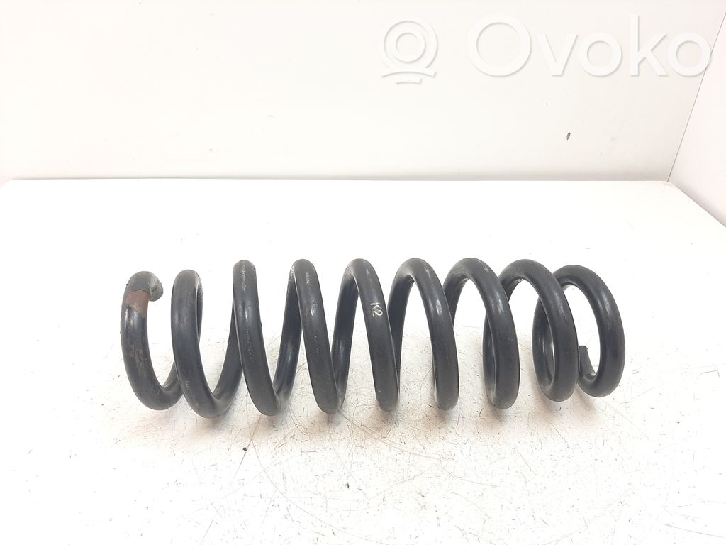 Muelle espiral trasero