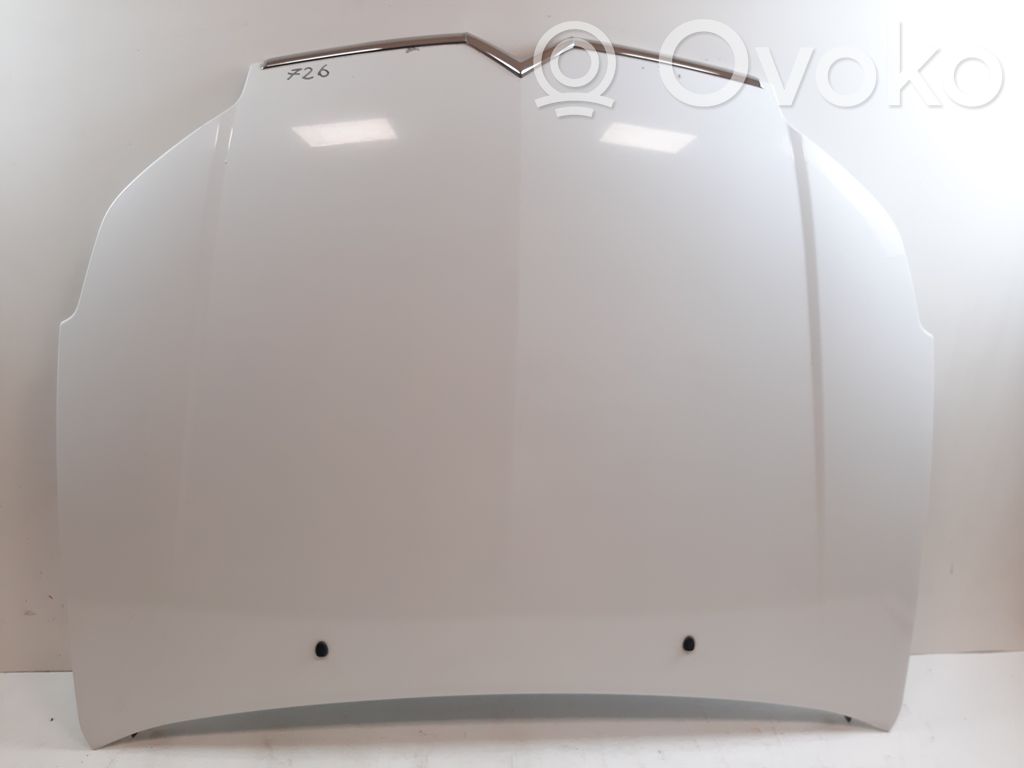 Engine bonnet/hood