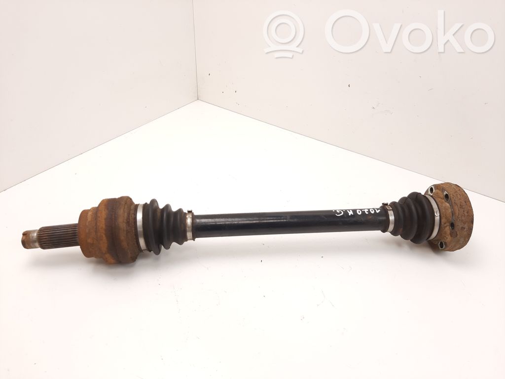 Galinis pusašis   P456716701,T081310337,3115324
