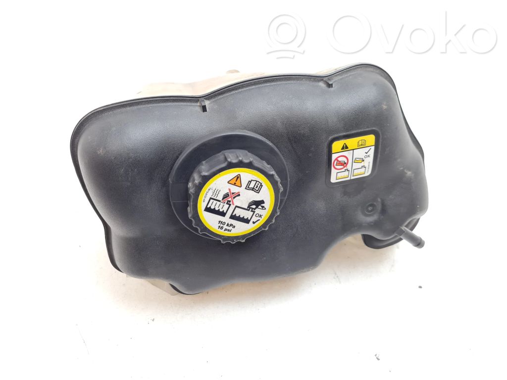 Ford Mustang V Vas expansiune/rezervor lichid de răcire 