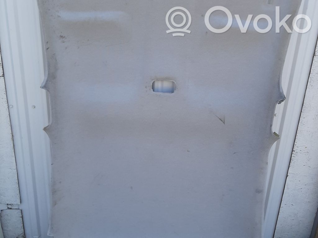 Citroen C3 Headlining 