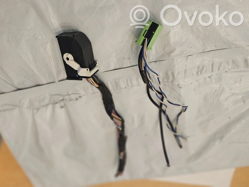 Volkswagen Tiguan Sound system wiring loom 
