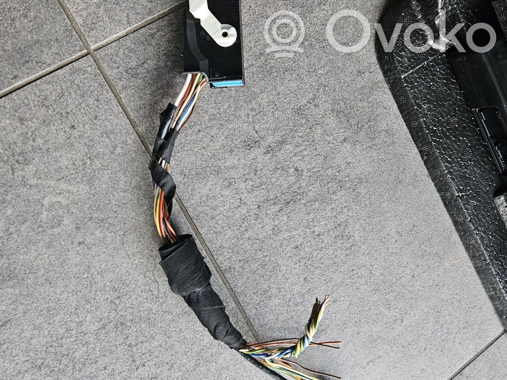 Volkswagen Tiguan Microphone (bluetooth/phone) 