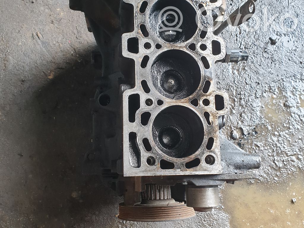 Nissan Qashqai Blokas 