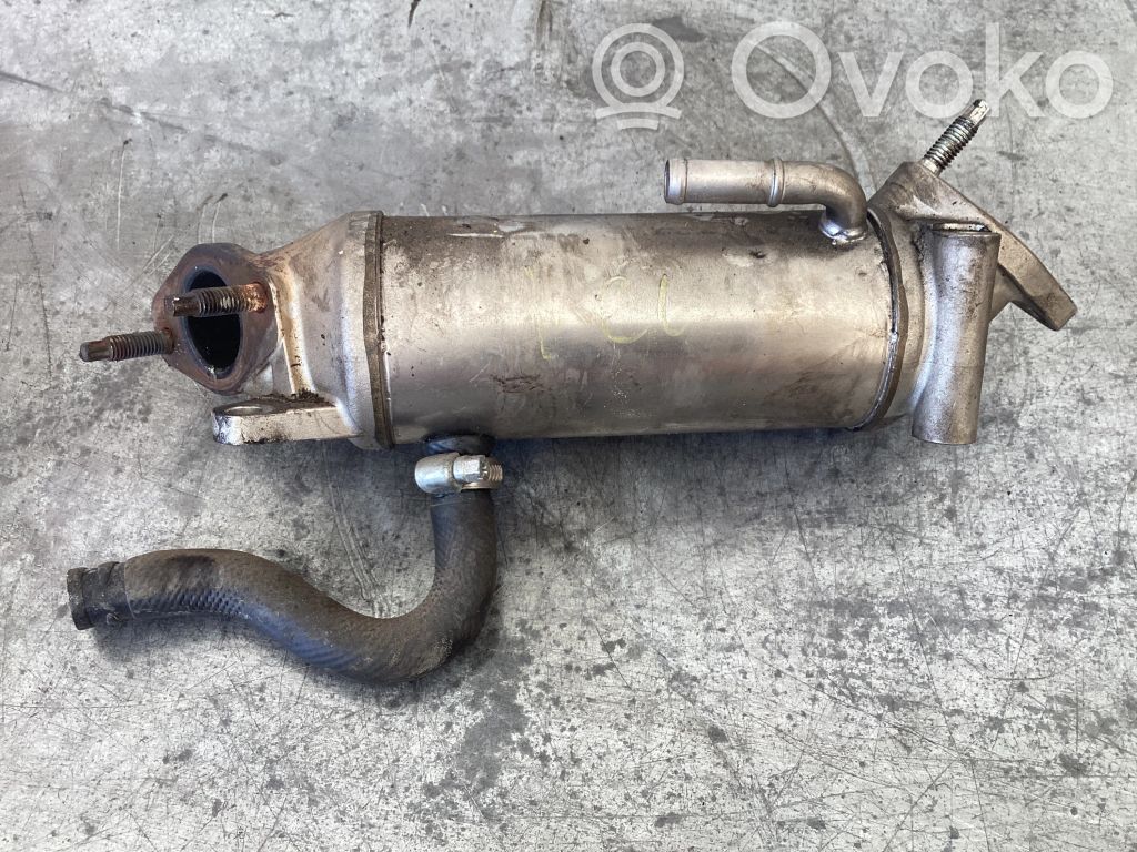 Renault Vel Satis EGR dzesētājs 