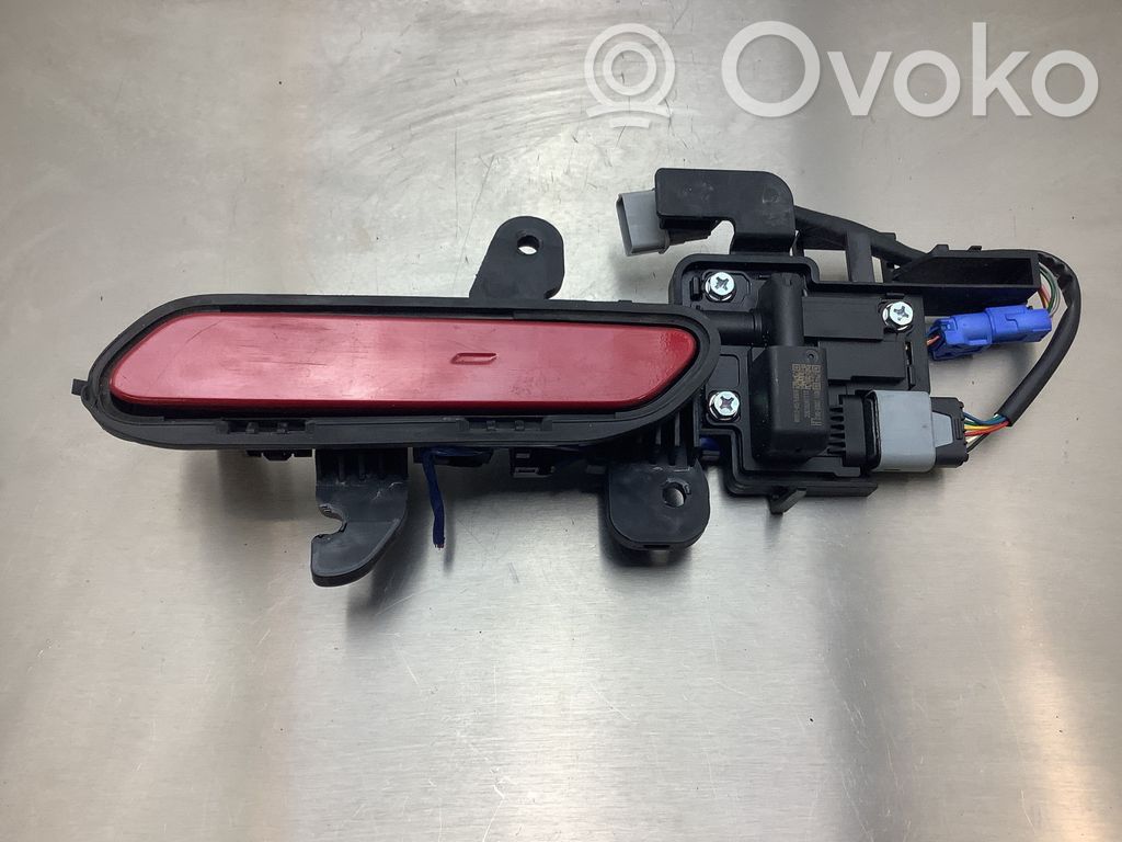 KIA EV6 Manecilla externa puerta delantera 