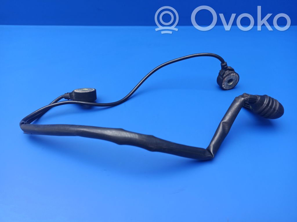 Klopfsensor   1709317,0261231136,094304