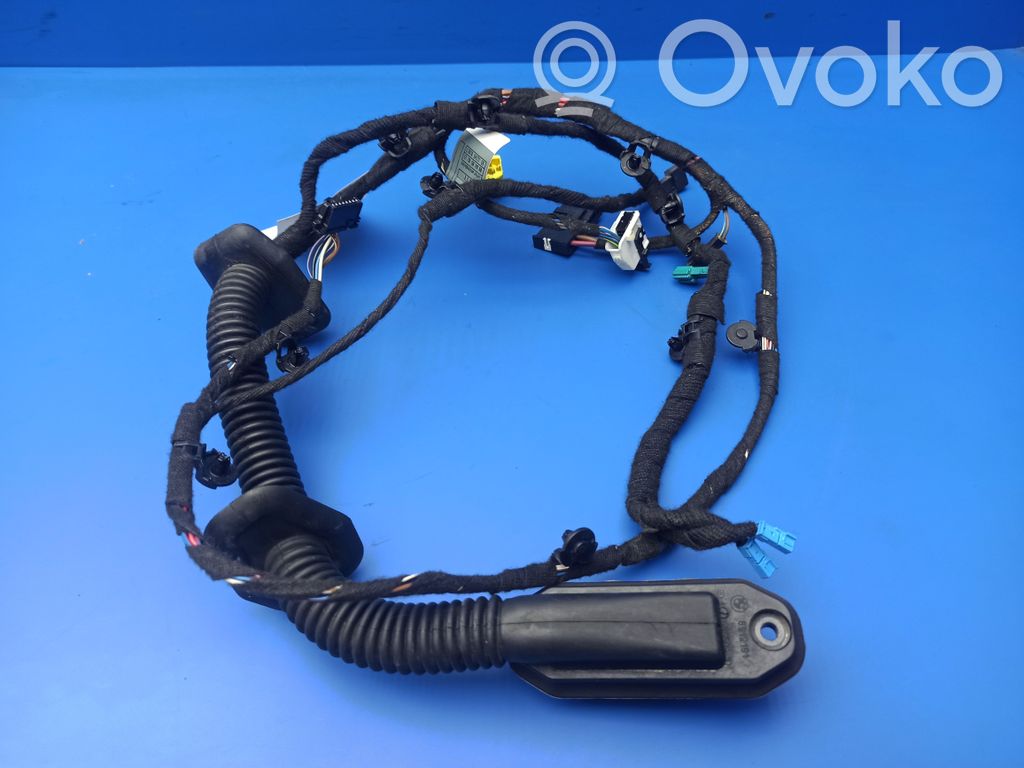 BMW 7 E65 E66 Cableado de puerta delantera 