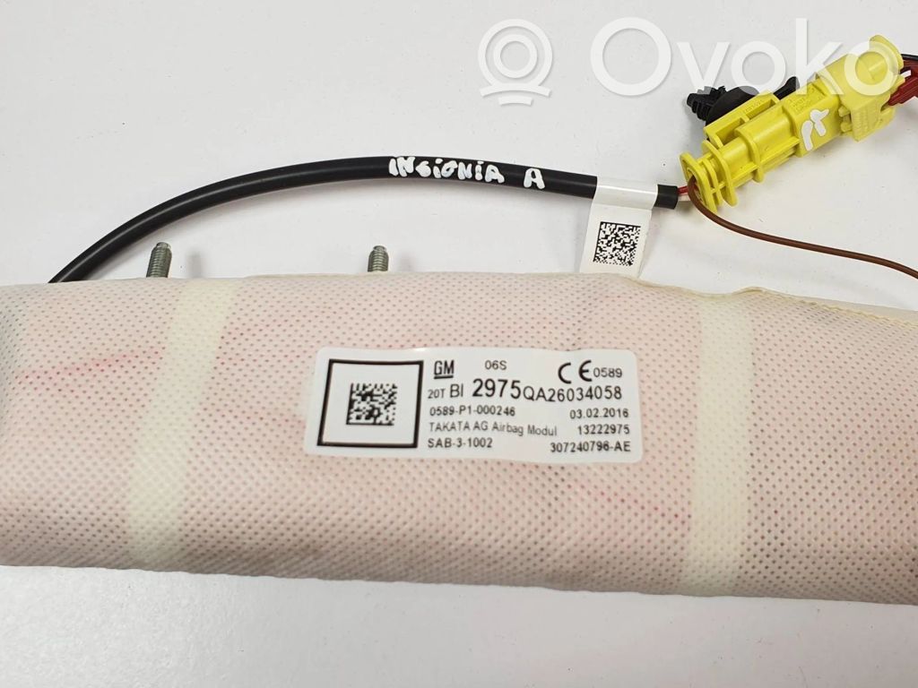 Opel Insignia A Airbag lateral 